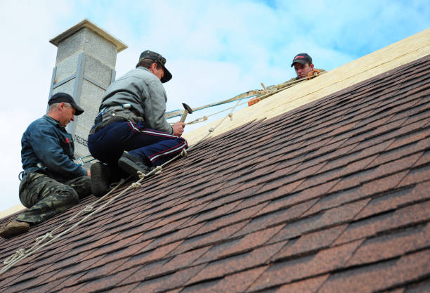Best Residential Roofing Contractor  in League City, TX